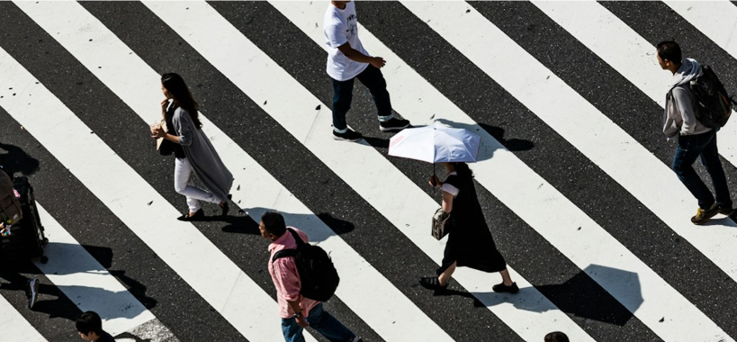 Long established #22 #35